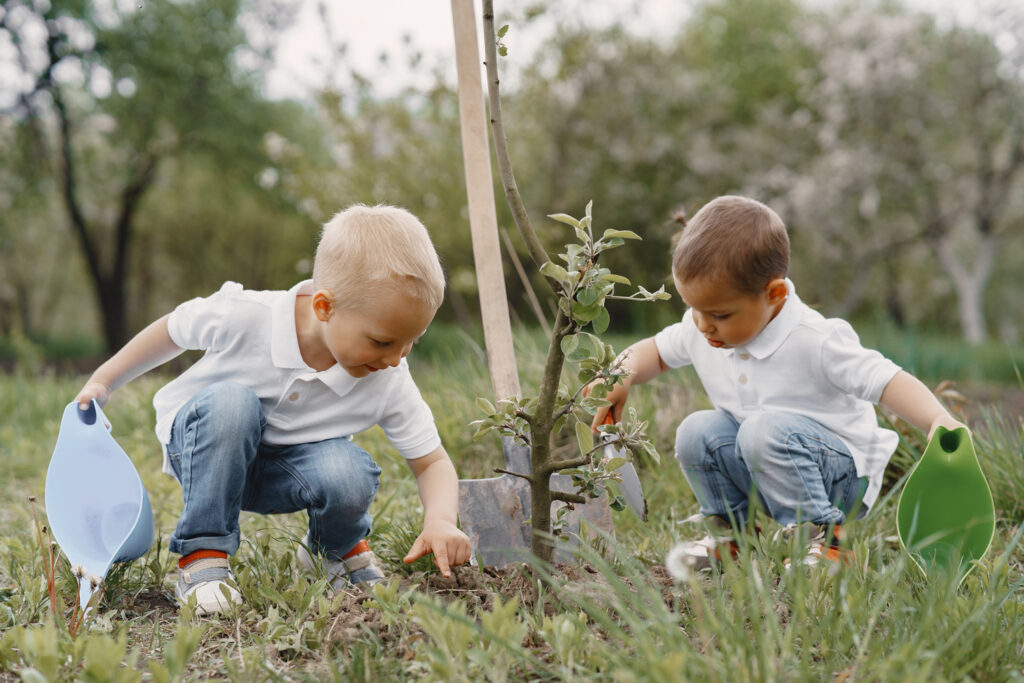 Kinder pflanzen einen kleinen Baum